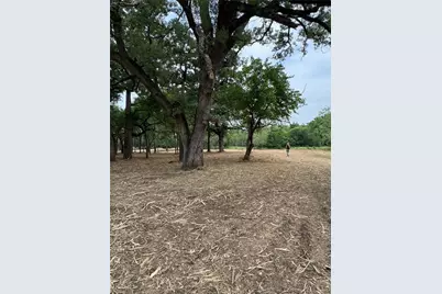 Lot 92 SE Cr 1190, Richland, TX 76681 - Photo 14