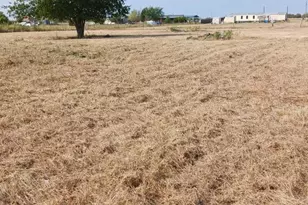7739 NW County Rd 1200, Barry, TX 75102 - Photo 2