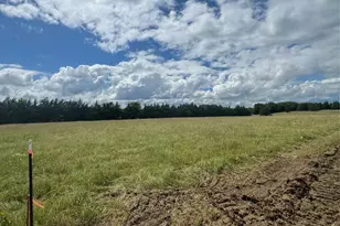 195 Pr 33267, Sumner, TX 75486 - Photo 1