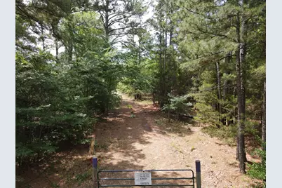 Tbd 16 +/- Ac Vz County Road 4814, Ben Wheeler, TX 75754 - Photo 2