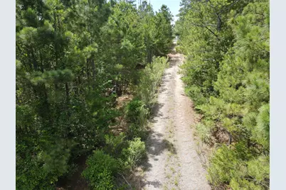 Tbd 16 +/- Ac Vz County Road 4814, Ben Wheeler, TX 75754 - Photo 4