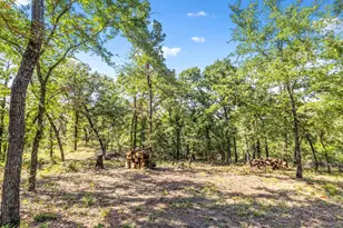 1020 Oak View Dr, Oak Point, TX 75068 - Photo 30