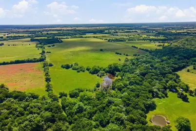 000 Cr 4608, Commerce, TX 75428 - Photo 12