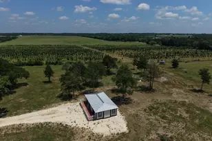 1316 E Titus St, Mexia, TX 76667 - Photo 28
