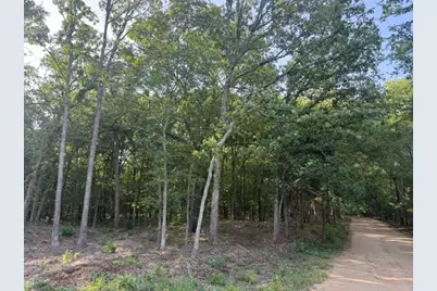 [Address not provided], Blossom, TX 75416 - Photo 4