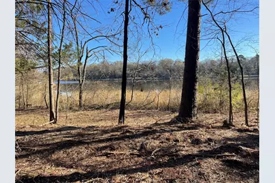Tbd Lot 3 County Road 2200, Mineola, TX 75773 - Photo 8