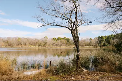 Tbd Lot 3 County Road 2200, Mineola, TX 75773 - Photo 16