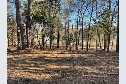 Tbd Lot 3 County Road 2200, Mineola, TX 75773 - Photo 22
