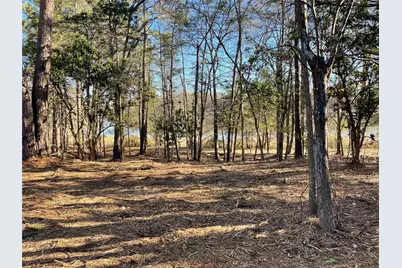 Tbd Lot 3 County Road 2200, Mineola, TX 75773 - Photo 26