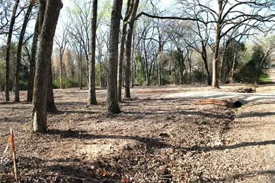 Tbd Lisa Lane, Gun Barrel City, TX 75156 - Photo 2
