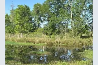 2937 An County Road 2303, Montalba, TX 75853 - Photo 34