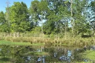 2937 An County Road 2303, Montalba, TX 75853 - Photo 34