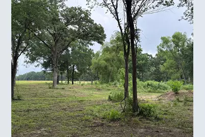 210 Livingston Street, Edgewood, TX 75117 - Photo 4