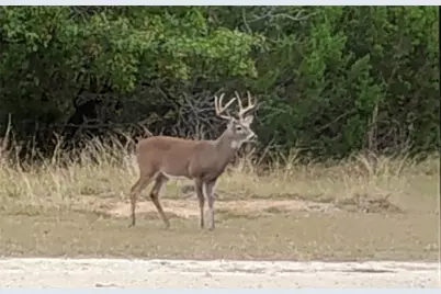 3851 County Road 156 Road, Bluff Dale, TX 76433 - Photo 36