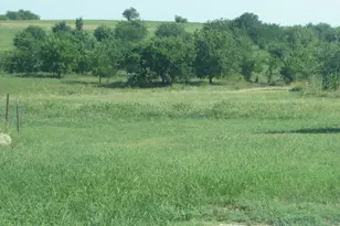 389 Hilltop Trail, New Fairview, TX 76078 - Photo 6