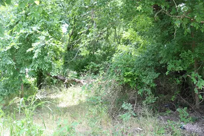 00 County Road 282, Dublin, TX 76446 - Photo 2