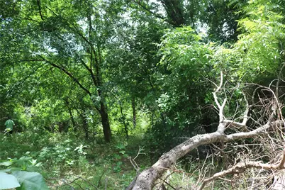 00 County Road 282, Dublin, TX 76446 - Photo 6