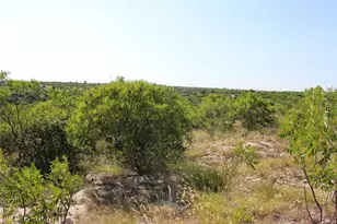 163 Baltrusol Dr, Graford, TX 76449 - Photo 1