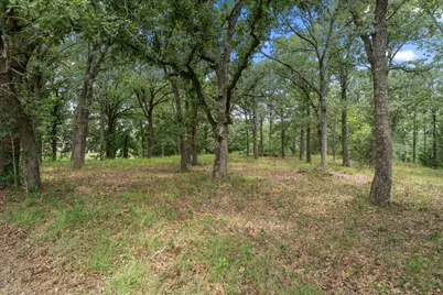 78 & 79 Tall Oaks Drive, Streetman, TX 75859 - Photo 16