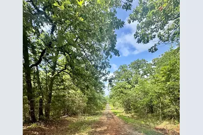 Lot 2111 Butch Cassidy Drive, Log Cabin, TX 75148 - Photo 2