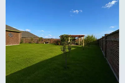 1518 Chestnut Cove Drive, Princeton, TX 75407 - Photo 32