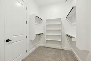 15661 Abelia Bloom St, Frisco, TX 75035 - Photo 22