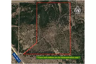 13100 US 281 N, Jacksboro, TX 76458 - Photo 2