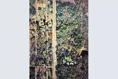 323 Daniel Boone Road, Honey Grove, TX 75446 - Photo 2