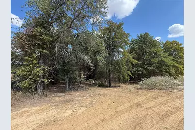 277 Zebrastone Way, Poolville, TX 76487 - Photo 18