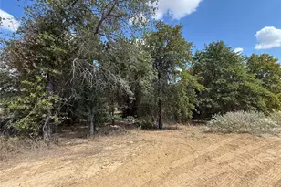 277 Zebrastone Way, Poolville, TX 76487 - Photo 18