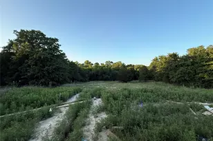 281 Zebrastone Wy, Poolville, TX 76487 - Photo 8