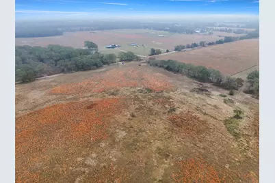 Tbd County Rd 2526, Quinlan, TX 75474 - Photo 6