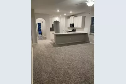 316 Zimmet Drive, Anna, TX 75409 - Photo 4
