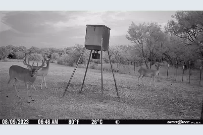 2417 Fm 569 Highway, Cisco, TX 76437 - Photo 6