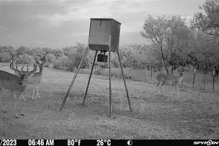 2417 Fm 569 Hwy, Cisco, TX 76437 - Photo 6