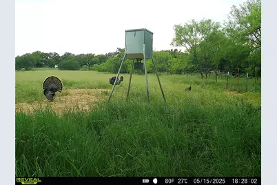 2417 Fm 569 Highway, Cisco, TX 76437 - Photo 26