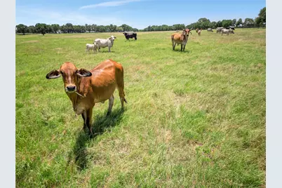 198 Private Road 1648 Road, Chico, TX 76431 - Photo 20