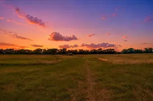 1948 Co Rd 1255, Savoy, TX 75479 - Photo 2