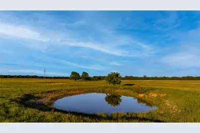 181000 Farm To Market 920, Poolville, TX 76487 - Photo 6