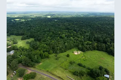 519 An County Road 450, Palestine, TX 75803 - Photo 10