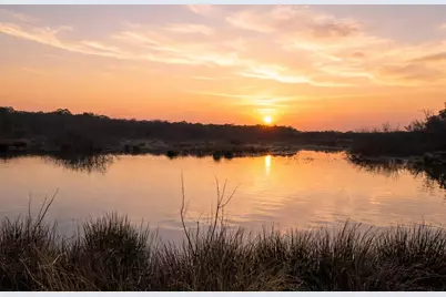 1751 Vz County Road 1925, Edgewood, TX 75117 - Photo 36