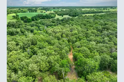 950 Vz County Road 1919, Fruitvale, TX 75127 - Photo 4