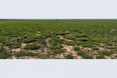 Tbd County Road 3, , TX 79061 - Photo 28