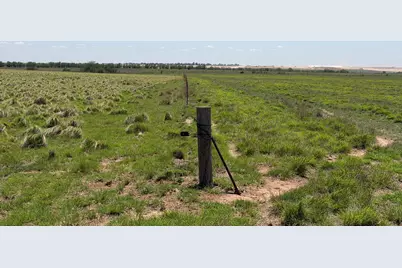 Tbd County Road 3, , TX 79061 - Photo 16