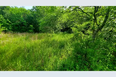 [Address not provided], Celeste, TX 75423 - Photo 4