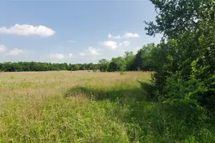 [Address not provided], Celeste, TX 75423 - Photo 1