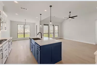 11729 Wildwood Street, Justin, TX 76247 - Photo 10