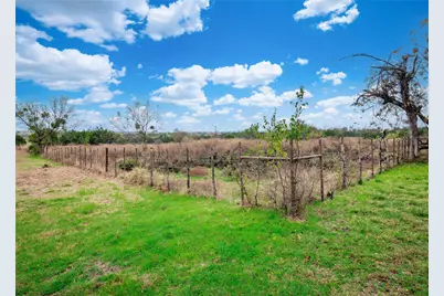 1350 County Road 414, Jonesboro, TX 76538 - Photo 36