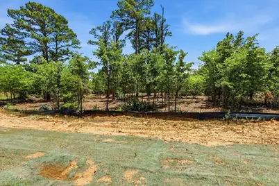 1121 Redbird Grove Road, Argyle, TX 76226 - Photo 4