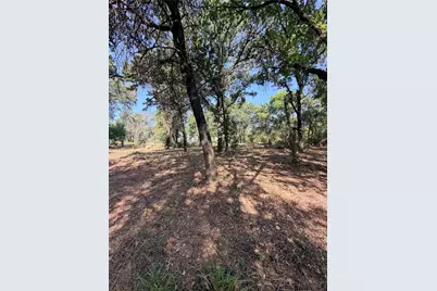 2305 County Road 425C, Cleburne, TX 76031 - Photo 22